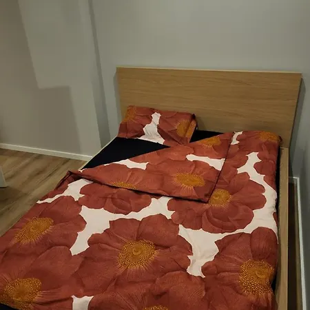 Matisa Iela 86 דירה *